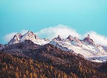 Kaiyun开云中国官网:云端生活的新入口与信赖之源